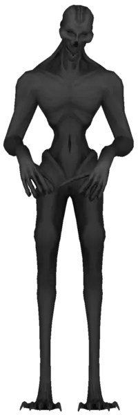 966.png